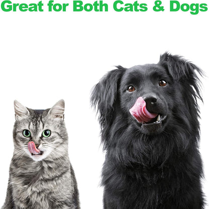 Set of 2 Stainless Steel Dog Bowls - 40Oz Pet Bowls with Decorative Dog Food Stand - Metal Food and Water Dishes for Large Pets - Puppy Essentials by  (Silver/Black)